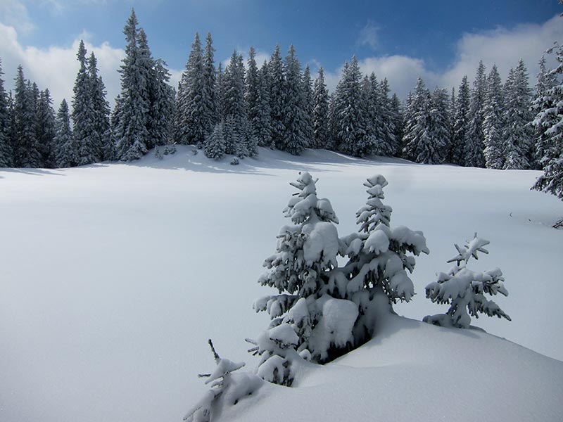 Kuhschneeberg